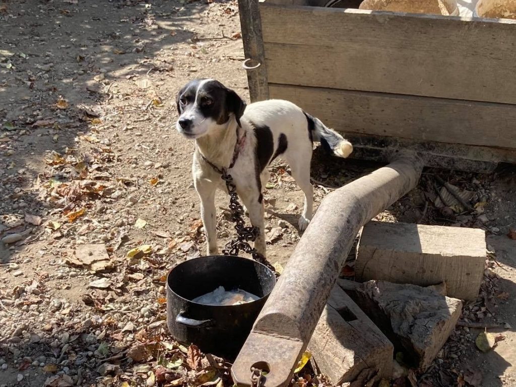 Ministarstvo poljoprivrede_zabrana lanca