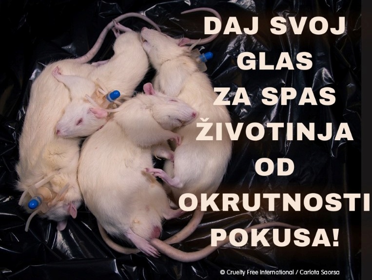 ispitivanja na životinjama