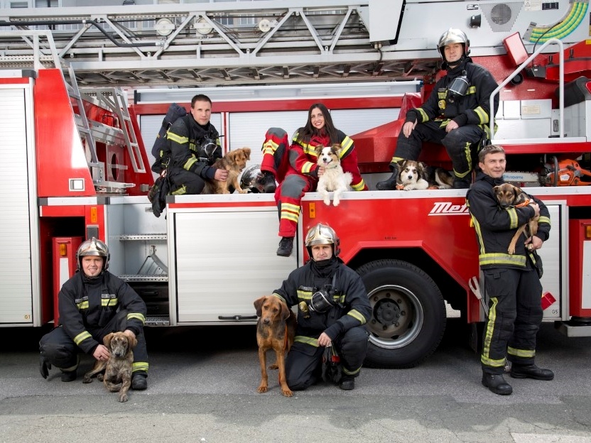 vatrogasci protiv lanca