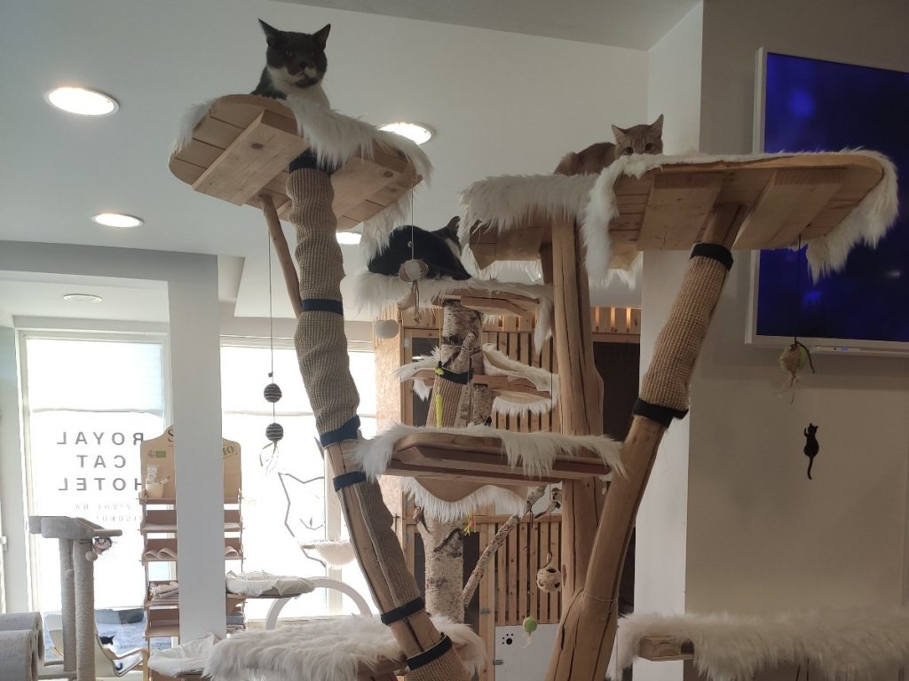 pravilnik o radu hotela za životinje